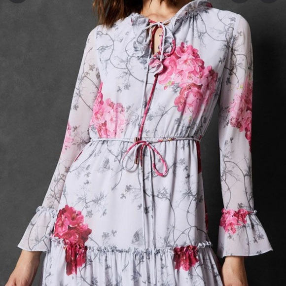 TED BAKER - Eriin Babylon Ruffle Dress - Picture 3 of 15